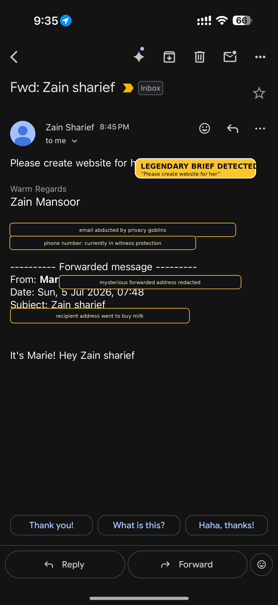 Redacted email screenshot with a legendary tiny website brief.